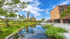 <strong>对于巴望进入AI范</strong>